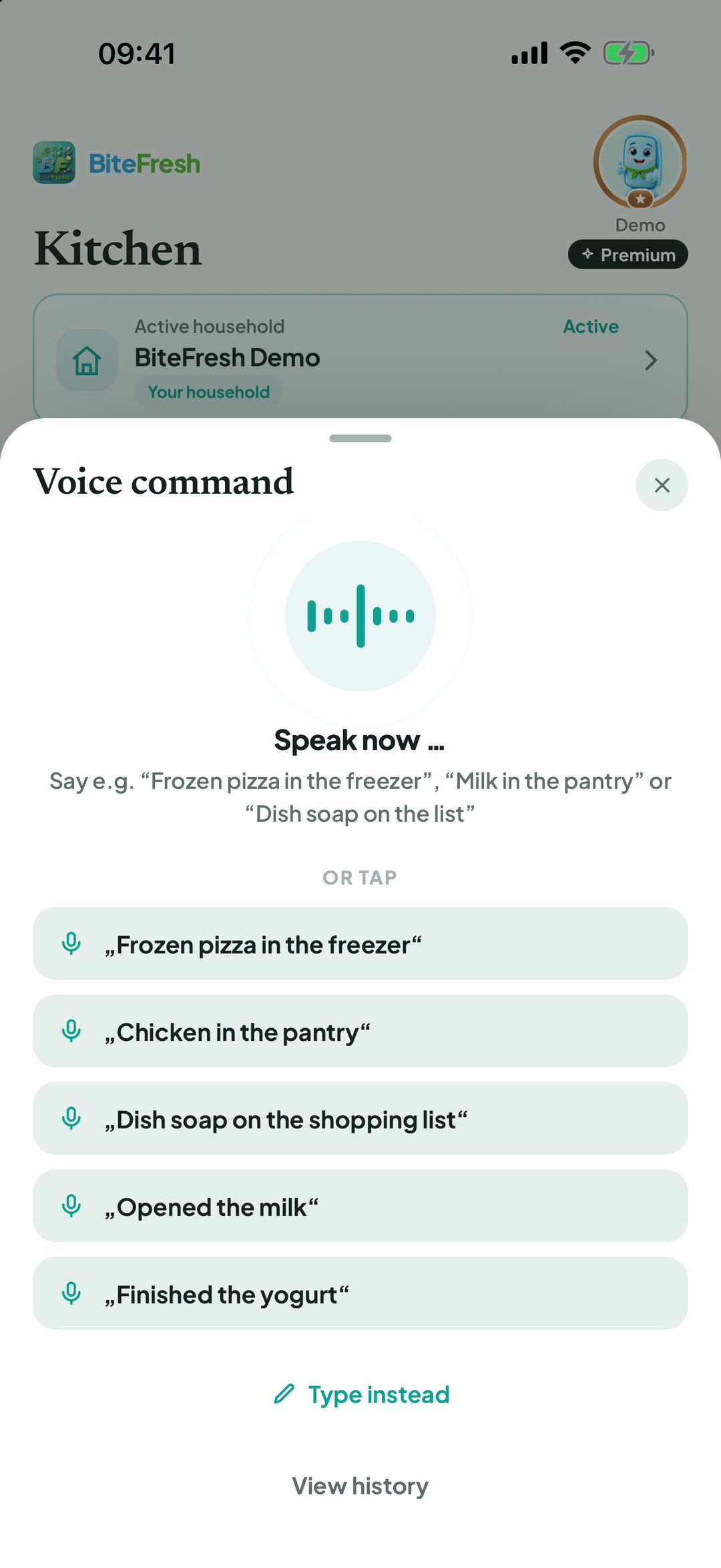 Voice command window
