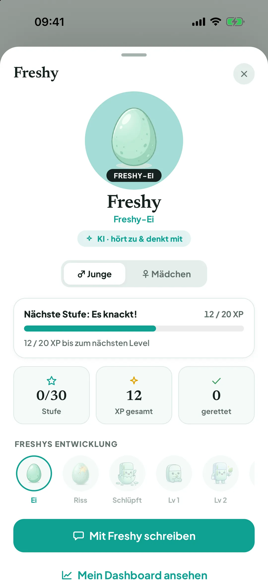 Freshy-Ansicht mit Level und XP