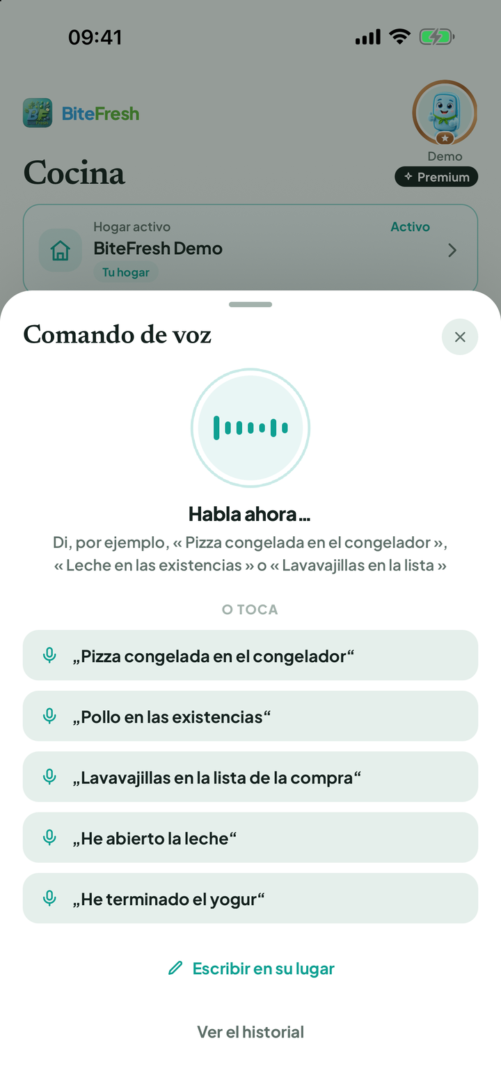 Comando de voz con frases de ejemplo y alternativa para escribir