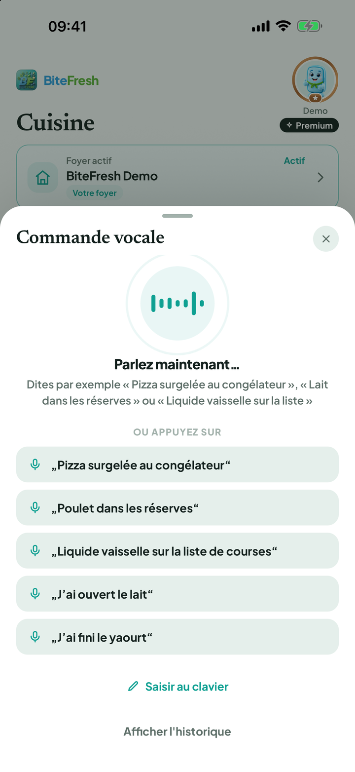 Commande vocale avec exemples de phrases et possibilité d’écrire